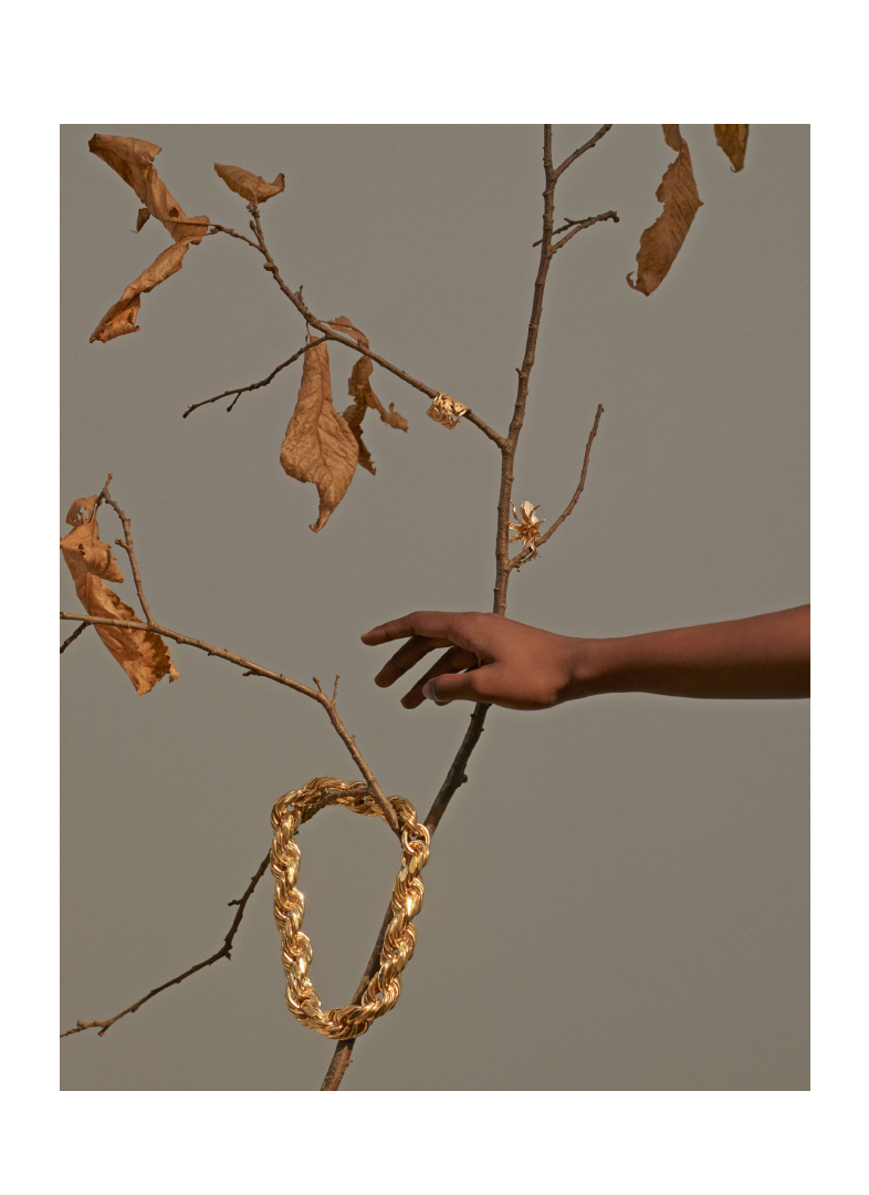 CoqCreative power by ProductionLink s.r.l. Amica Amica  Amica